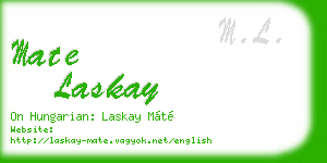 mate laskay business card